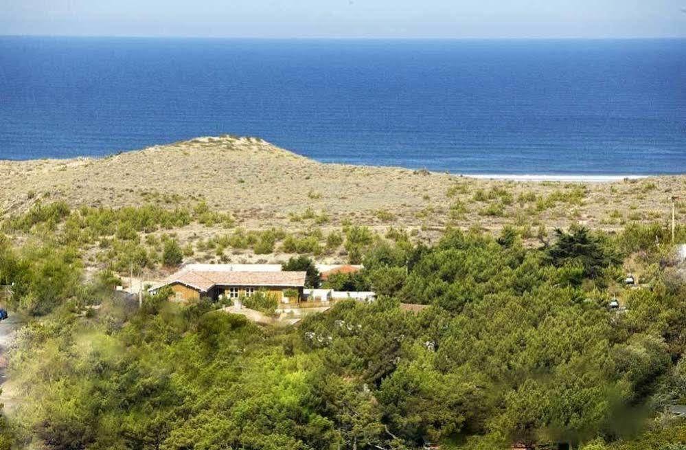 Hotel Des Dunes Lège-Cap-Ferret Dış mekan fotoğraf